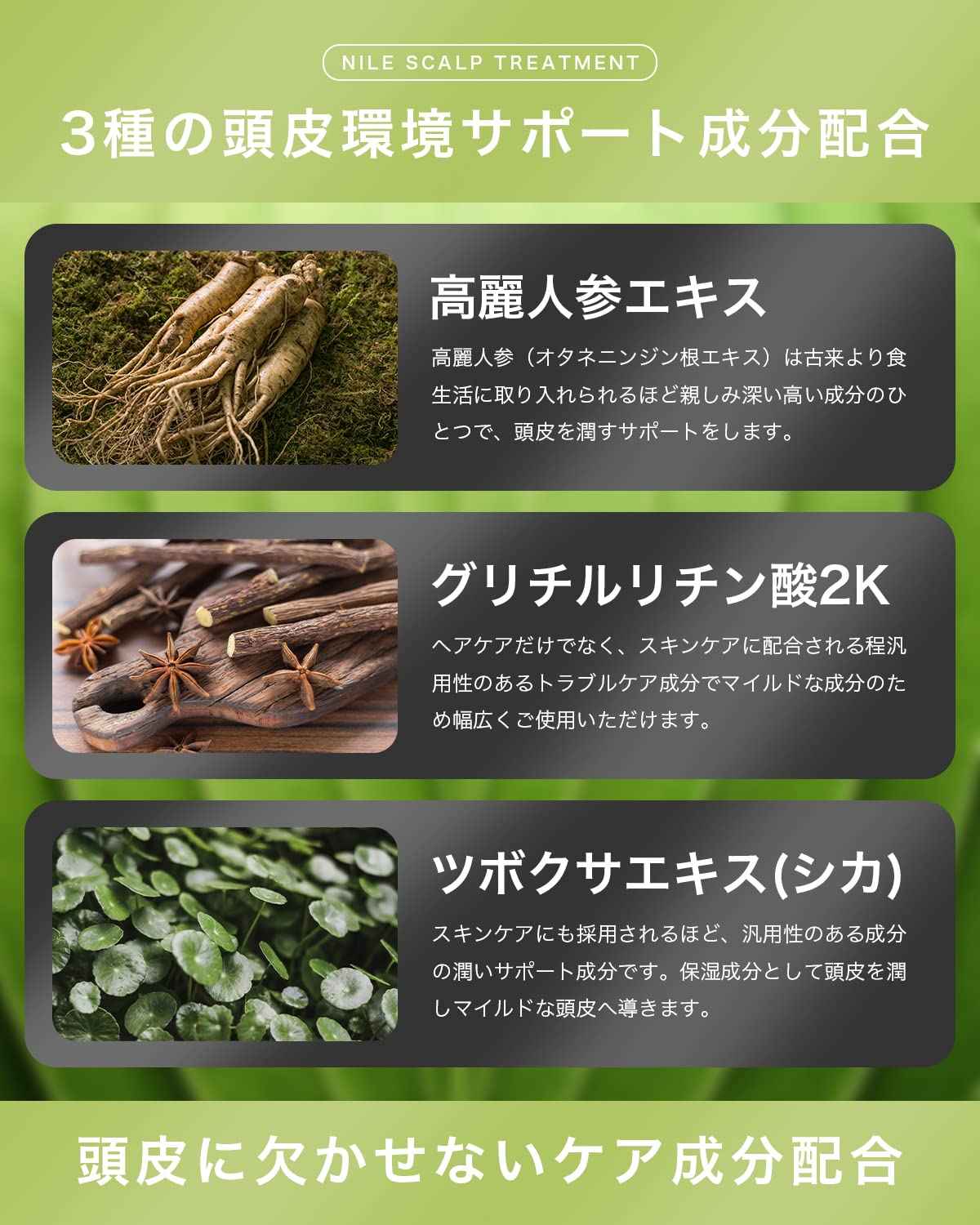 NILE 頭皮護理男士無矽靈護髮配方(香梨香味)