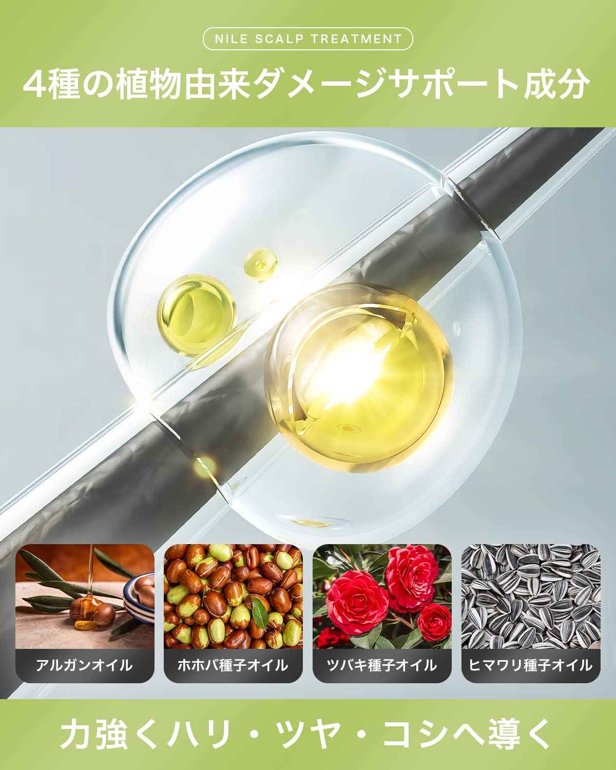 NILE 頭皮護理男士無矽靈護髮配方(香梨香味)