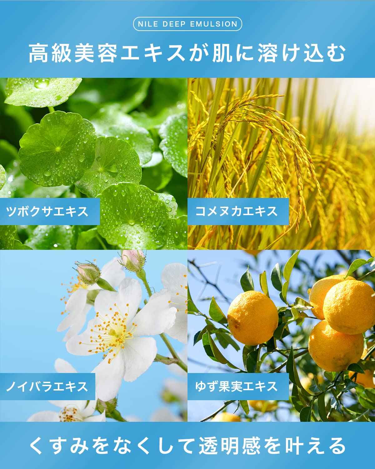 NILE 男士清爽深層乳液(法國香味)