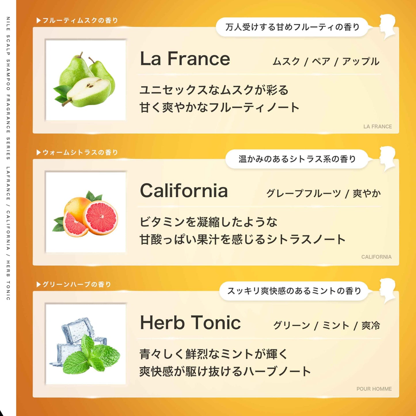NILE 濃密泡沫頭皮洗髮水 男性 氨基酸洗髮水 無矽靈(香梨香味)