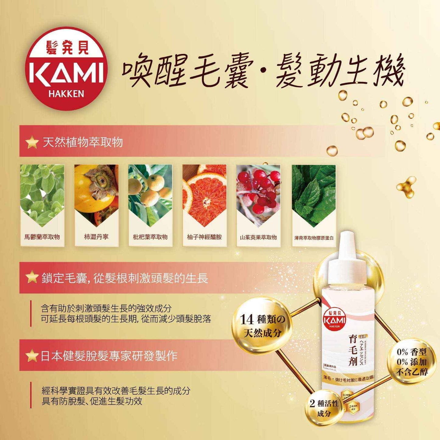 KAMI HAKKEN 髮發見育髮精華三瓶組合 - 自然成分促進生長